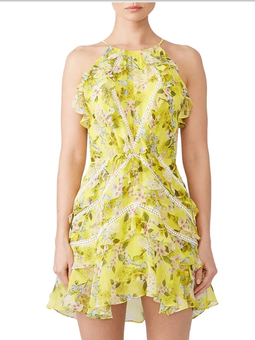 Marissa Webb Floral Andrea Dress